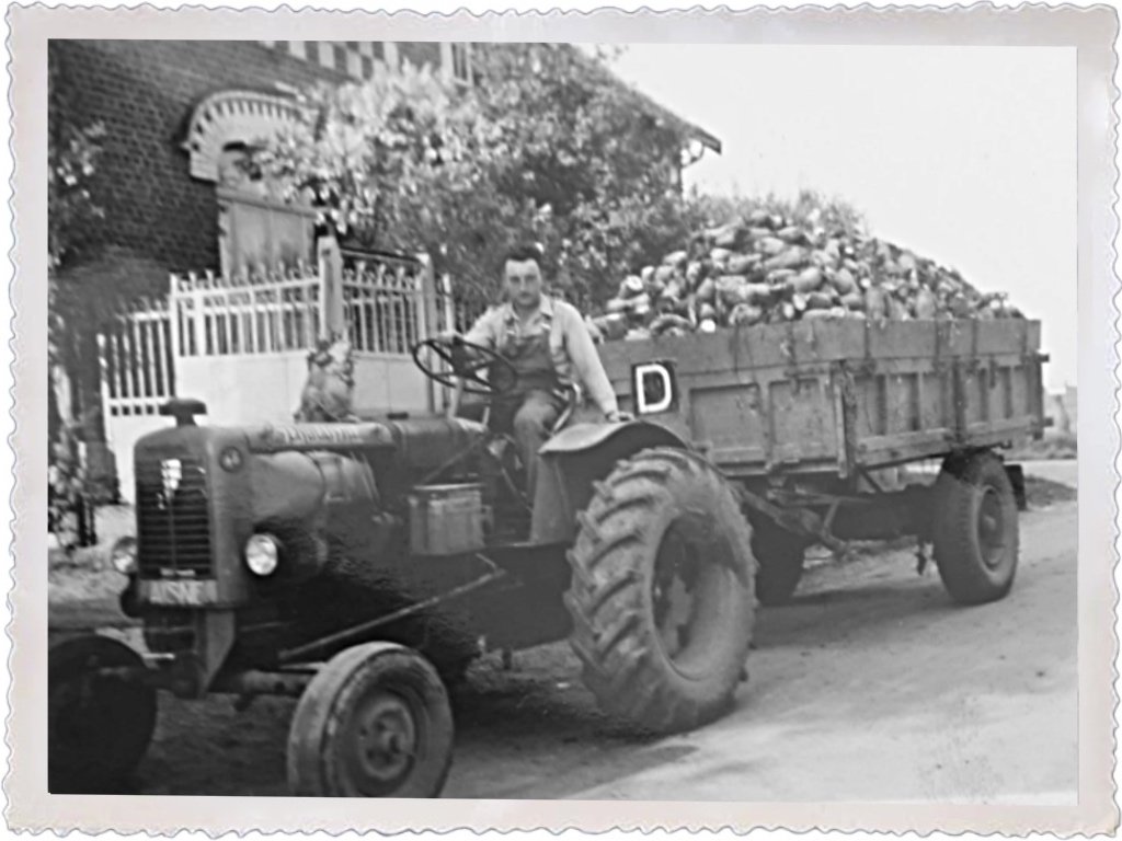 JP DEGARDEZ de l'Aisne. Le VENDEUVRE avec les betteraves fourragères devant la ferme mais il y avait aussi les sucrières, elles étaient livrées à la sucrerie à 10 km où en wagon à la gare et elles étaient arrachées à la main 2 ha 50 à l’époque.