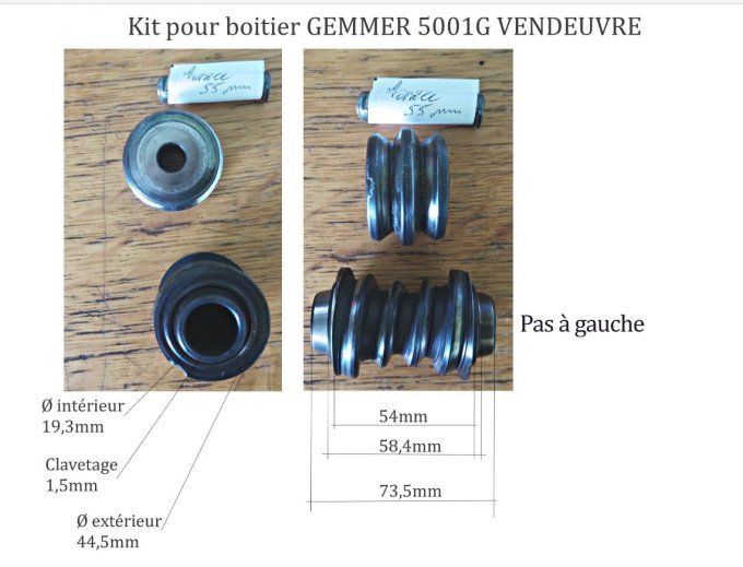 D3001010 Kit vis pas à gauche et galet pour boitier Gemmer 5001G 