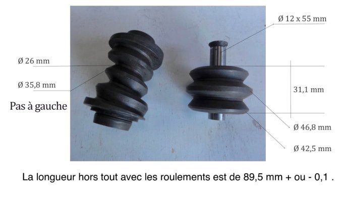 D3001010 Kit vis pas à gauche et galet pour boitier Gemmer 5001G 